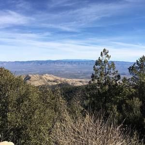 Meet your Posher, Bruce